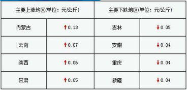 2024新澳精准正版资料大全|理论依据解释落实_实况品.9.173