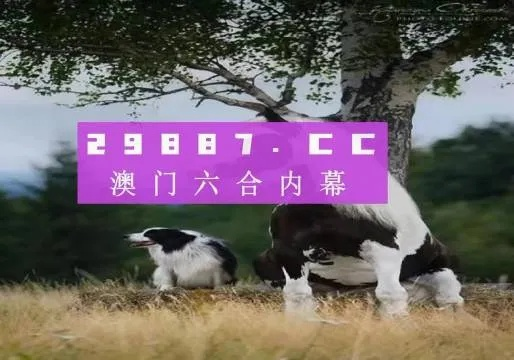 2024澳门精准跑狗图|探索新兴趋势与精彩故事_特别型.3.449